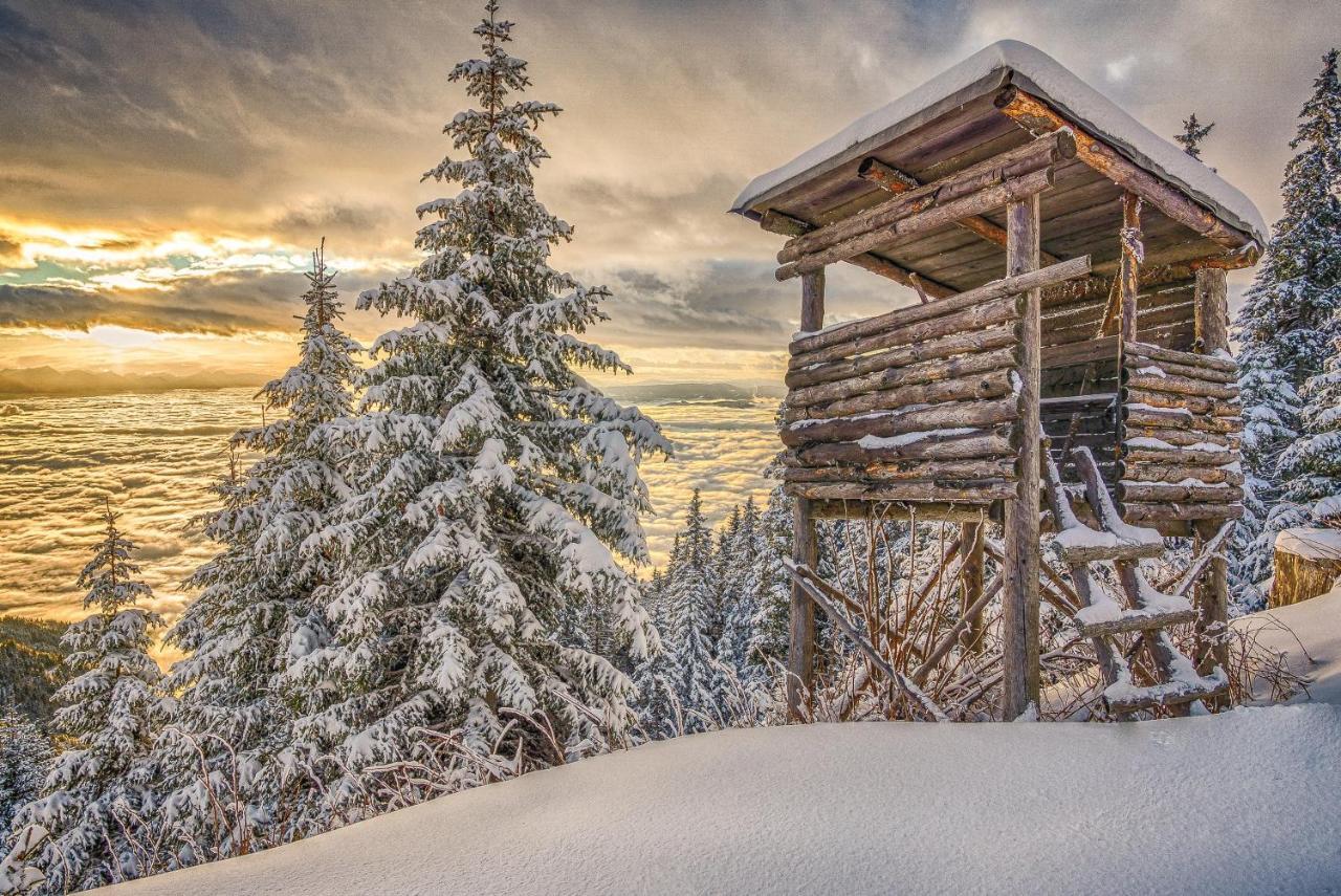 Hotel Gailberghöhe Kotschach-Mauthen Exteriör bild