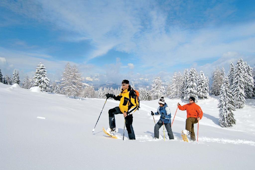 Hotel Gailberghöhe Kotschach-Mauthen Exteriör bild